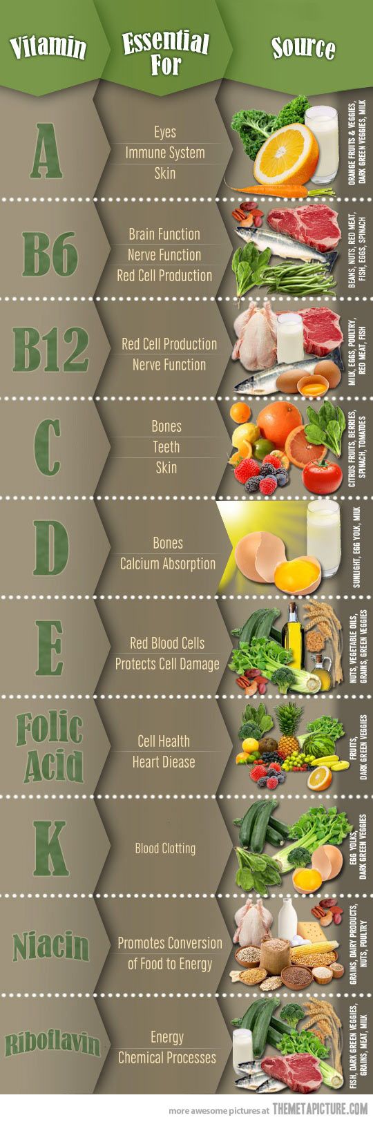 foods in your body