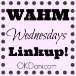 WAHM Wednesday: Inspiring Entrepremom – Danielle of Hook Smart