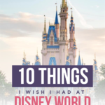 10 Things I Wish I Had at Disney World